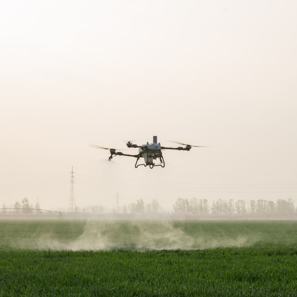 Oprysk dronem DJI Agras nad polem – Agrodron