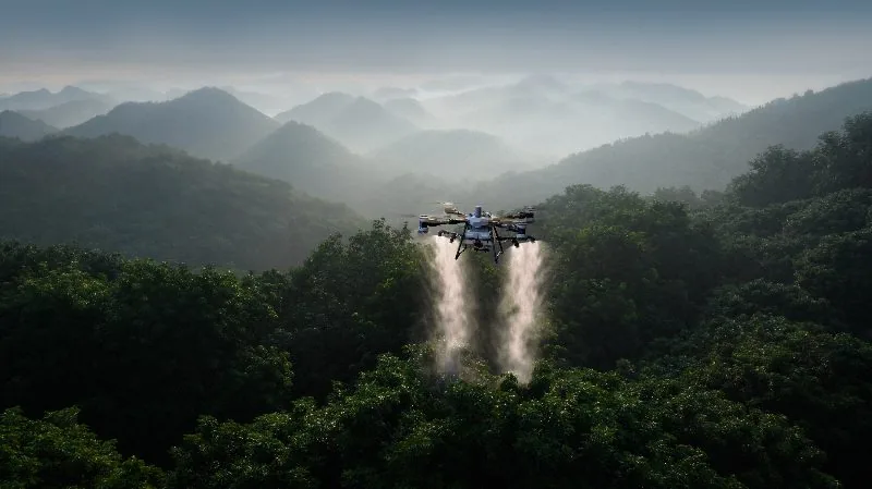 Drones en la gestión forestal pública