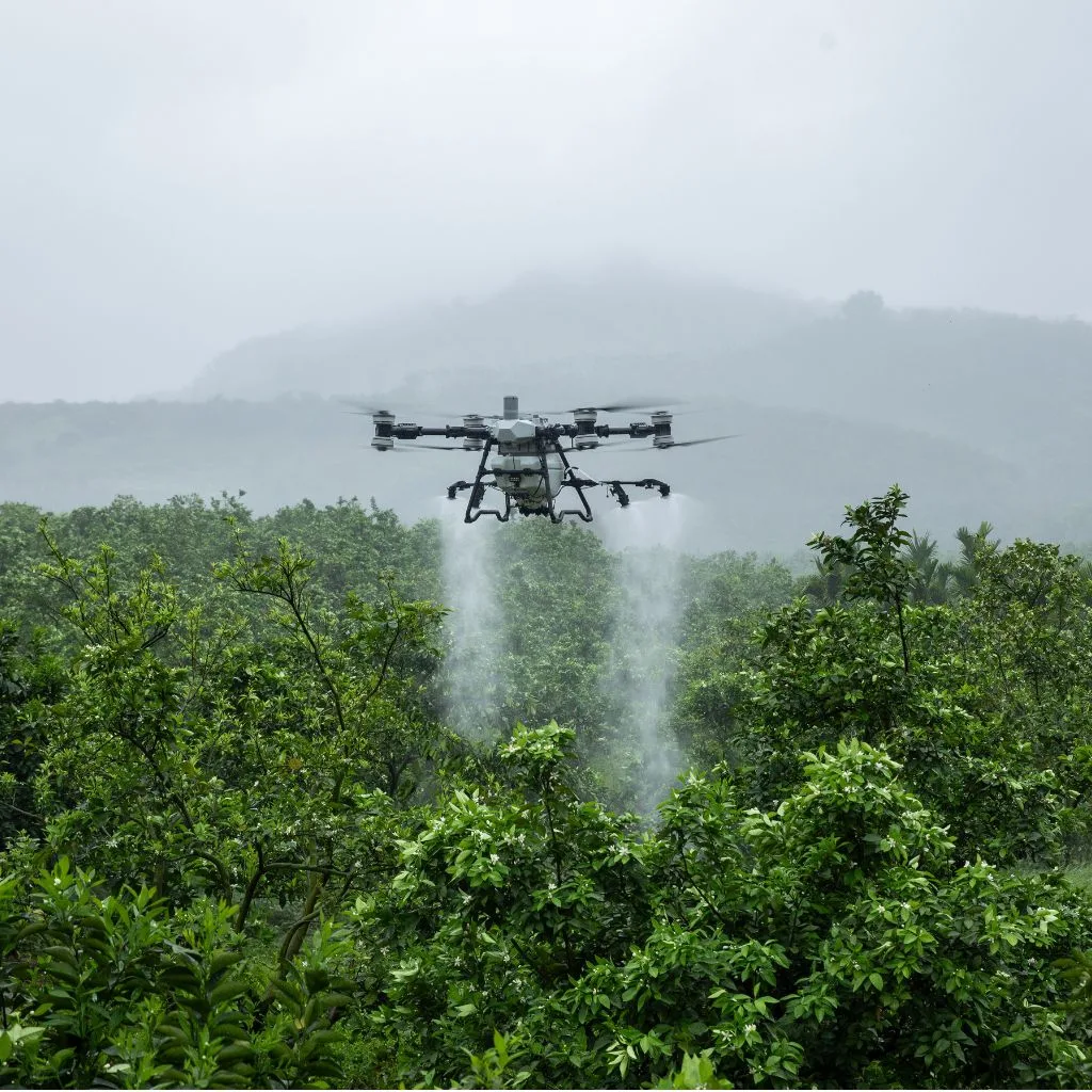 Aplicación en arbustos frutales con dron DJI Agras
