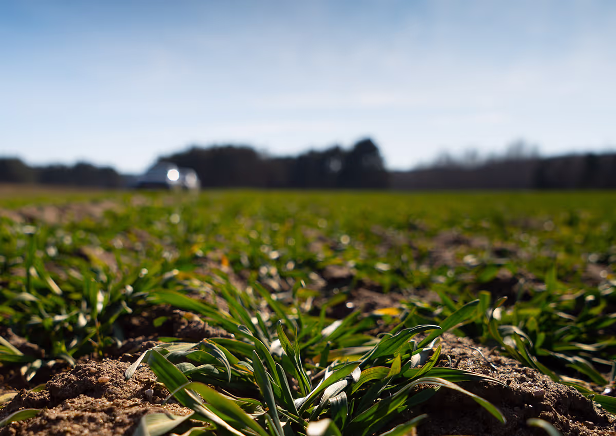 Agrodron – campo